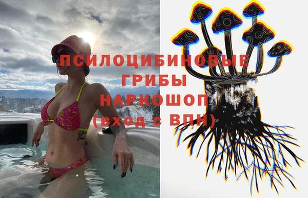 дживик Новодвинск