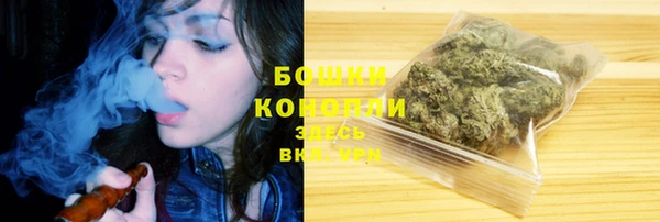 СК Горнозаводск