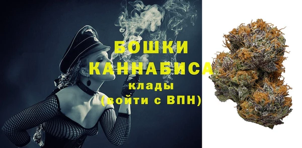 СК Горнозаводск